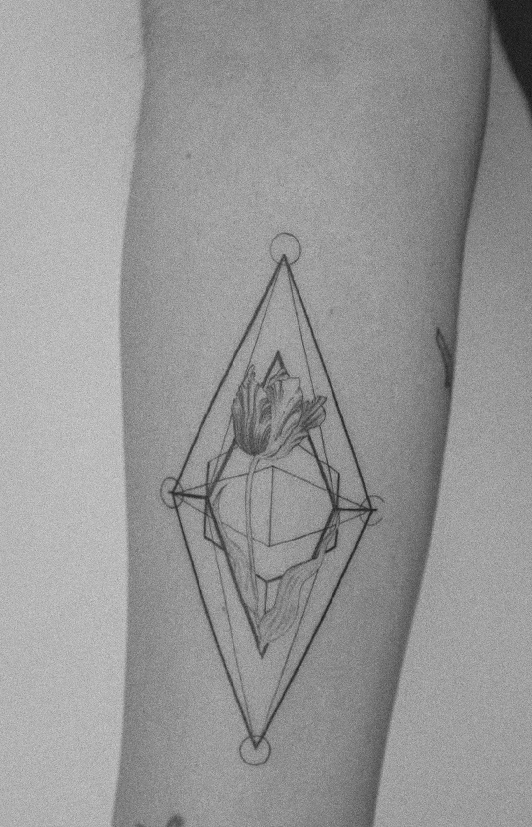 Tatuajes Fine Line 2